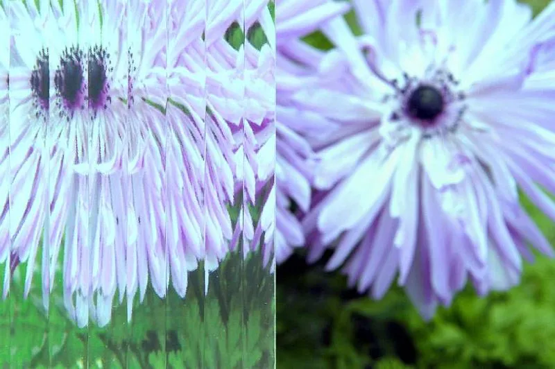 decorative ornamental glass flutes