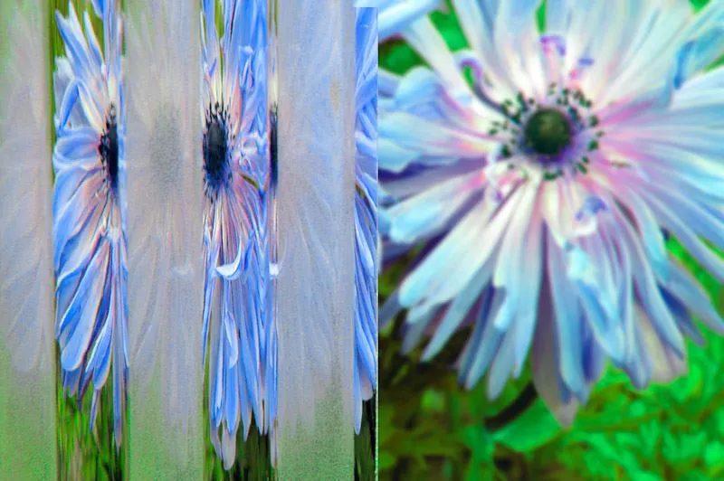 decorative ornamental glass flutes sandblasted